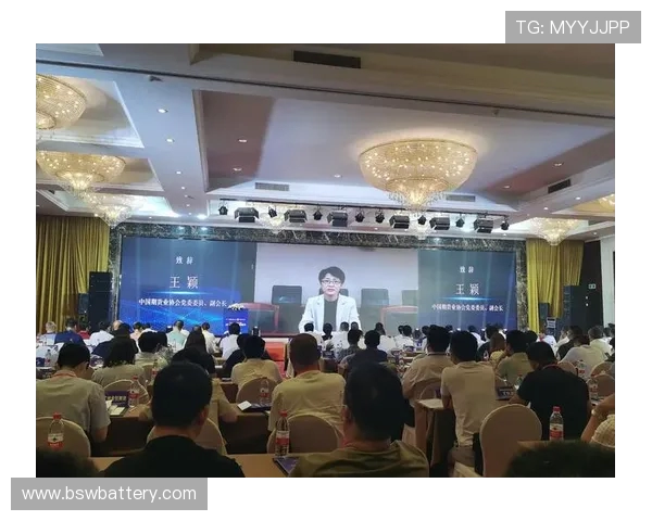 福建浔兴股份迎战行业挑战 聚焦创新与可持续发展战略布局