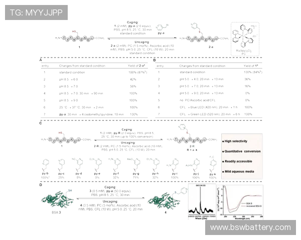 深入探讨上海飞盘队战术表现的关键数据分析与策略优化